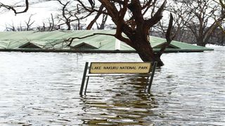 Lake Nakuru national park flooded