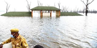 Lake Nakuru national park flooded
