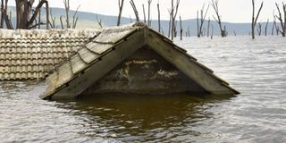 Lake Nakuru National Park 