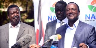 Raila, Mudavadi, Kalonzo