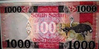 South Sudan money