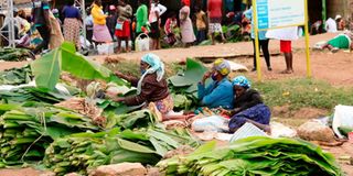 Banana leaves for miraa