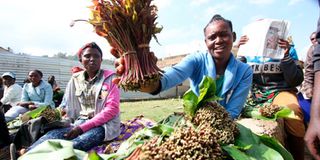 Women selling miraa