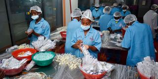  Revital Healthcare (EPZ) Limited 