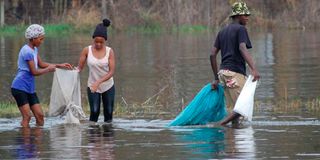 Fishing in Lake Naivasha