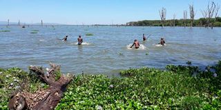 Fishermen in Lake Naivasha.