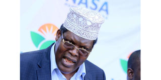 Miguna Miguna