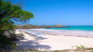 Chale Island