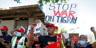 Ethiopians from the Tigray region protest