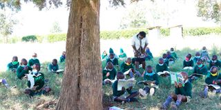 Pupils learning under a tree