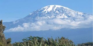 Mt Kilimanjaro