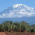Mt Kilimanjaro