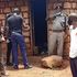 Kirinyaga stabbing