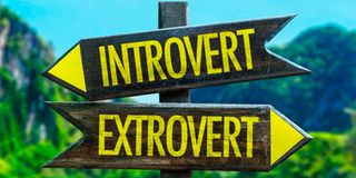 Introvert