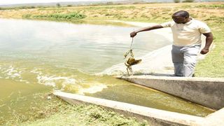 sewage treating plant in Nakuru