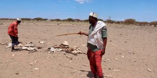 Marsabit drought
