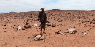 Marsabit drought