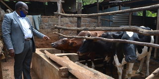 Tharaka-Nithi County 