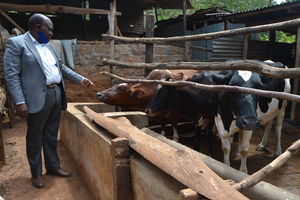 Tharaka-Nithi County 