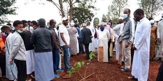 Ibrahim Ahmed Johnny burial