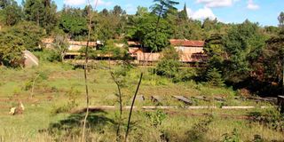 Kitwii Cooperative Society