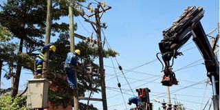 Kenya Power's Live Line Team 