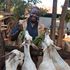 Father Eliud Mwenda