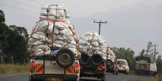 Miraa transport