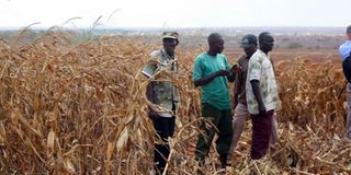 Galana-Kulalu Food Security Project