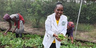 Vegetable farmer