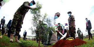 Defence Wellness Centre