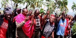 Ndabibi squatters