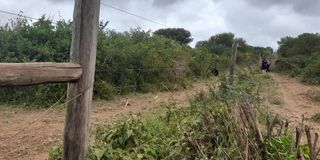 Bura-Alia electric fence