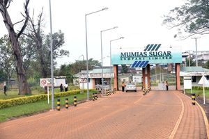 Mumias Sugar Company