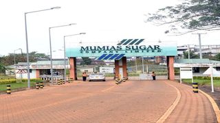 Mumias Sugar Company