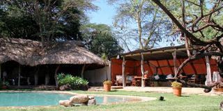 Elewana Lewa Safari Camp