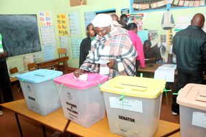 Voting