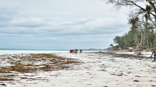 Diani Beach