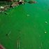 Lake Victoria algae