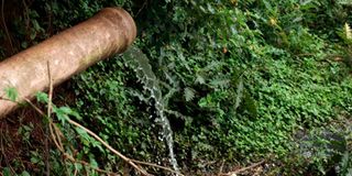 Lake Victoria pollution