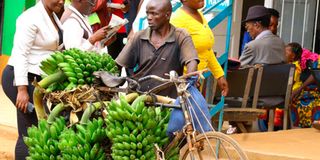 Bananas Kisii town
