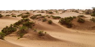 Sand dunes in Chalbi Desert.