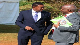 Alfred Mutua and Kivutha Kibwana