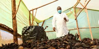 Sywan Urban Aquaculture Centre