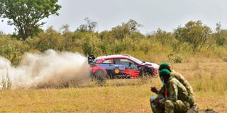 Safari Rally