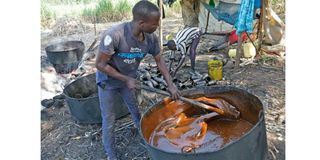 Jaggery making in Kisii