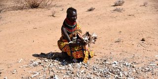 Turkana drought