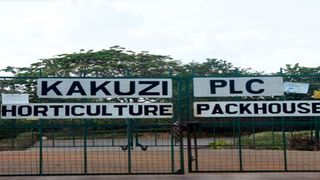 Kakuzi PLC