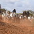 Women herding goats Nunow village, Garissa County