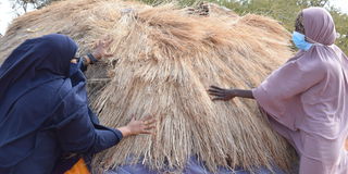 Women herding goats Nunow village, Garissa County